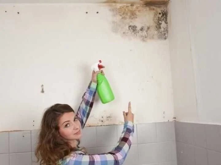 تنظيف الأسقف والحوائط